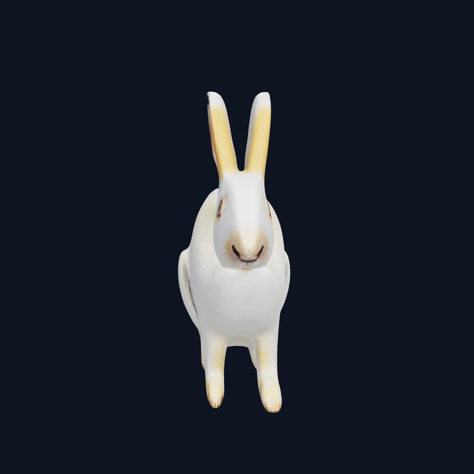 Realistic Rabbit Model Pack for D Rendering and Games